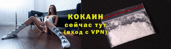мяу мяу мука Богданович