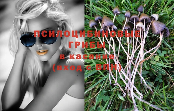 МДМА Богородицк