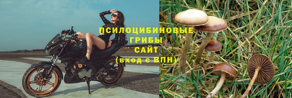 МДМА Богородицк