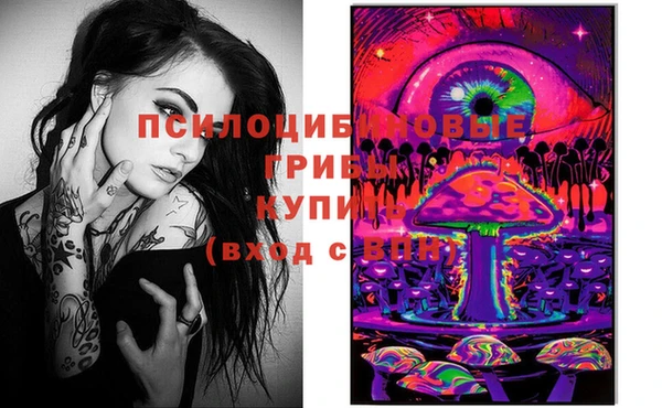 прущие крисы Богородск